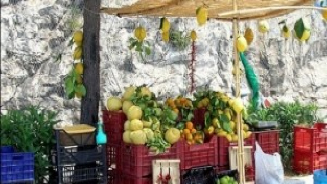 La frutta fresca ed i vegetali per la salute