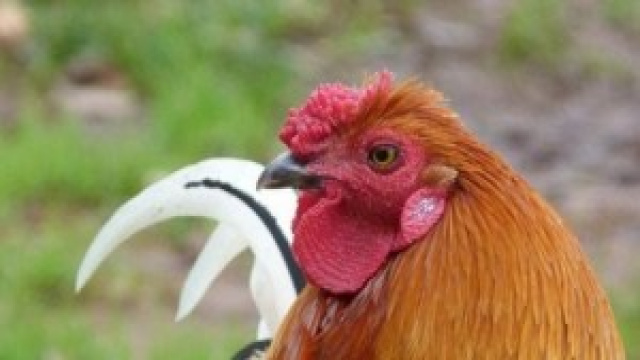 Offerte, promozioni telefonia cellulare.