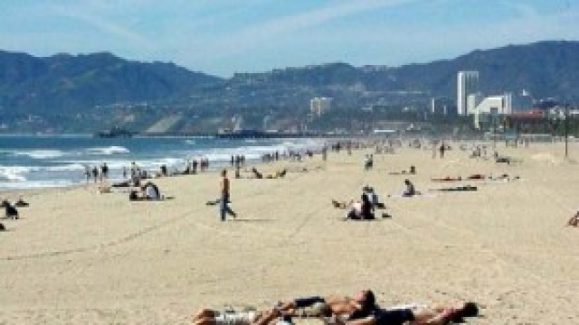 Uno scorcio di Venice Beach