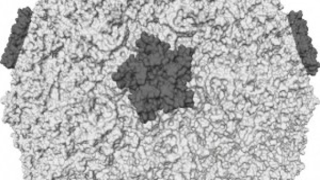 Raffreddore e Influenza 2014, i sintomi e i rimedi