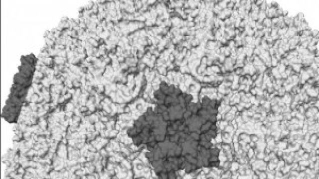 Sintomi influenza 2014: i bambini pi&ugrave; a rischio