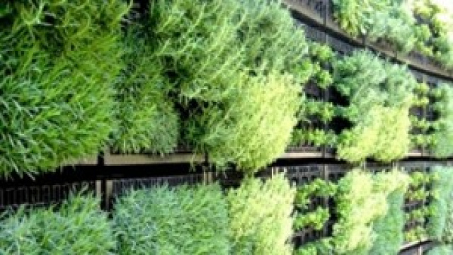 un semplice esempio di verticalit&agrave; verde-