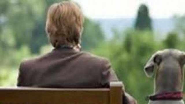 i cani sentono le emozioni degli umani