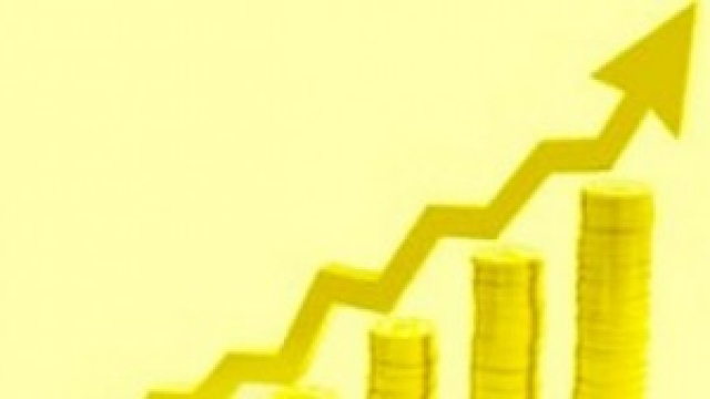 Rendimax contro ContoSulIbl