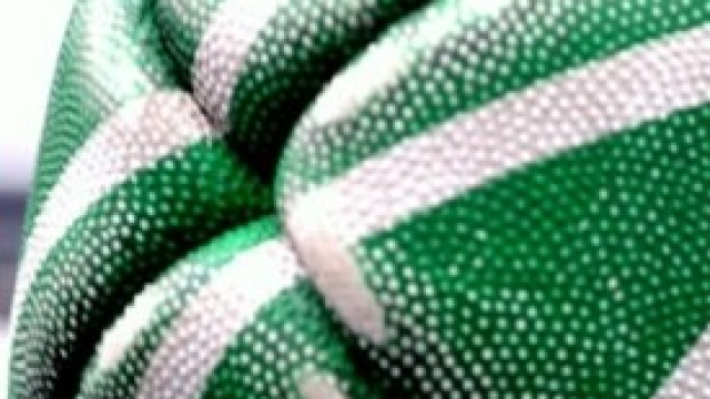 NFL, Super Bowl, trionfo dei Seattle SeaHawks.