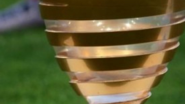 FA Cup 2014, Fulham-Sheffield