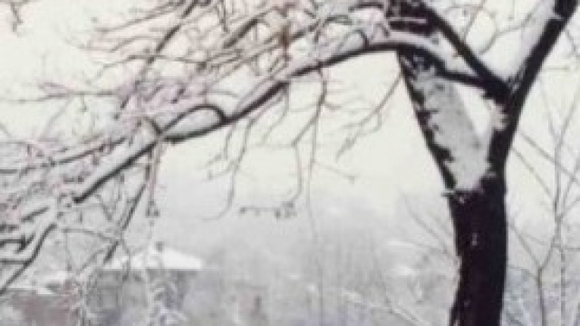 Previsioni Meteo 6-9 febbraio 2014