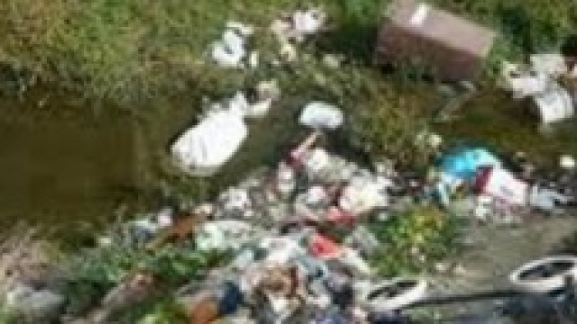 Nuovi reati ambientali: DDL sull'inquinamento