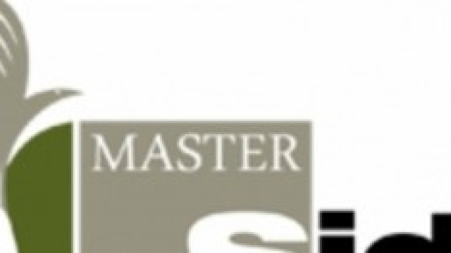 Sida Group borse di studio totali