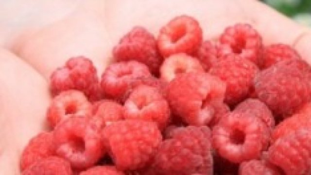 Allergie e intolleranze alimentari