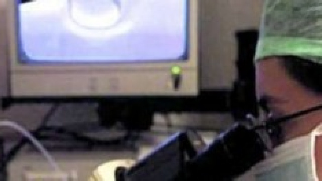 La legge 40 e il caso di Valentina.