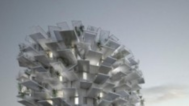 L'Albero Bianco di Montpellier