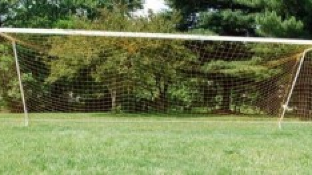 Serie D calcio 25esima giornata.