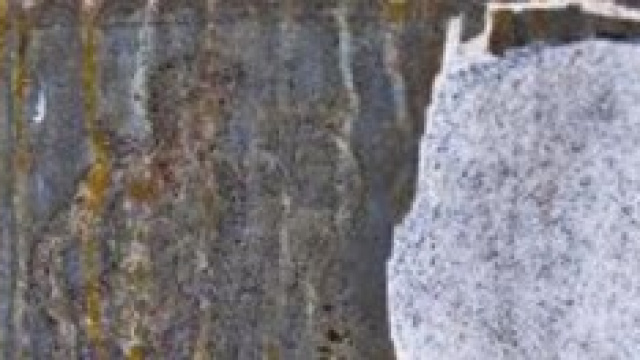 Immagine di Artemide e Apollo rovinata da ignoti