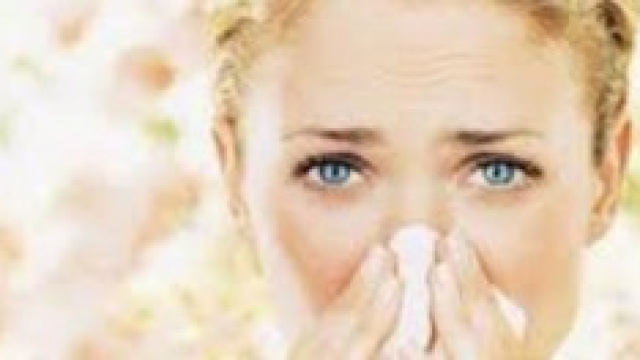 Le dieci regole per combattere le allergie
