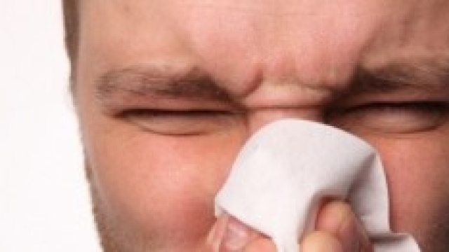 Rimedi naturali contro le allergie primaverili