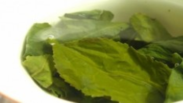 mantenere il cervello giovane e una buona memoria