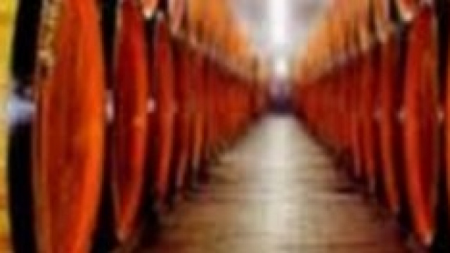 Finanziamenti Unicredit per imprese vitivinicole