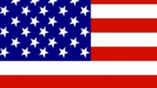 Bandiera statunitense stilizzata