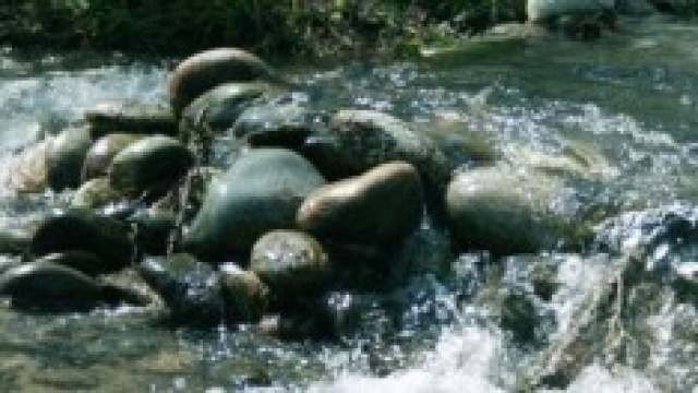 Il disastro ambientale ammonta 8 miliardi di euro