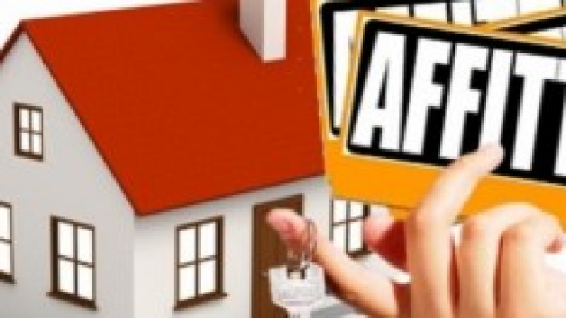 novit&agrave; per gli affitti 2014