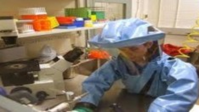 Allarme virus Ebola in Guinea
