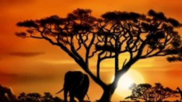 paesaggio africano al tramonto