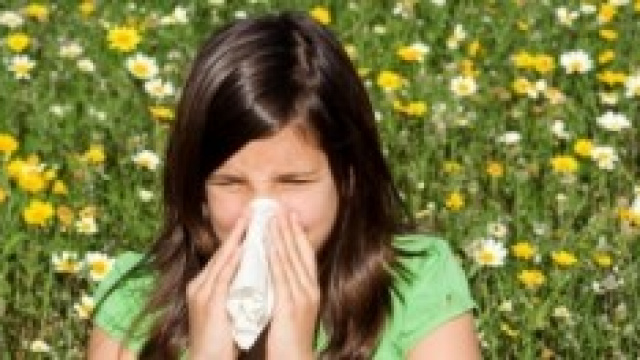 Allergia primavera 2014: sintomi, rimedi e terapia