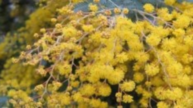 Festa della Donna: quattro indimenticabili viaggi.