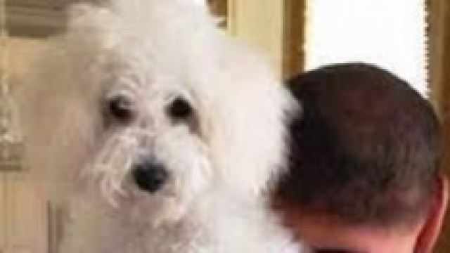 Silvio Berlusconi con il cane Dud&ugrave;