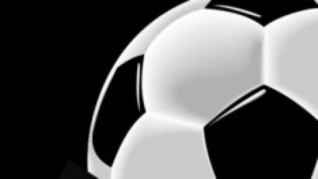 Udinese-Catania 31 marzo 2014 ore 19