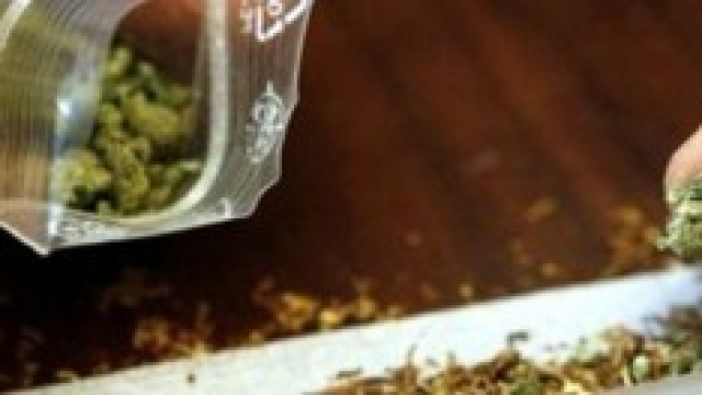 L'Onu contro la legalizzazione della marijuana 