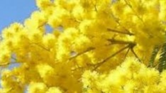 Festa della donna 2014: le 10 migliori idee regalo