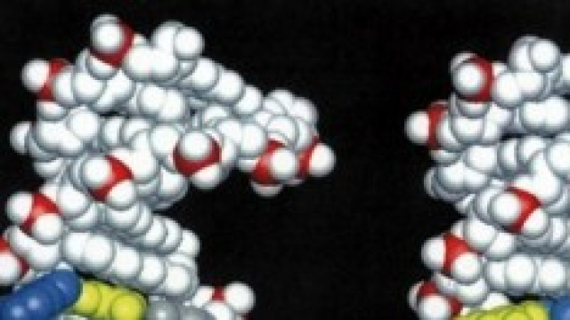 Sostanze cancerogene nei vestiti per i bambini
