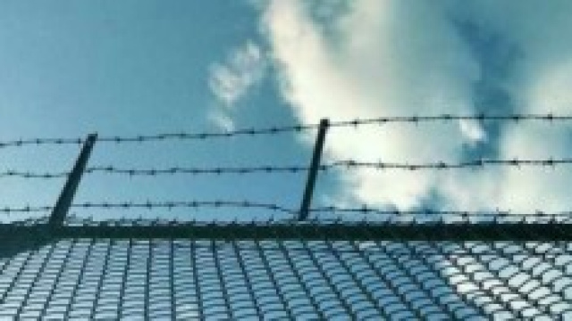 Ultime notizie su Amnistia e indulto 2014
