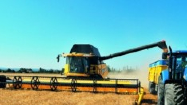 Crisi Ucraina: pane e pasta pi&ugrave; cari in Italia?