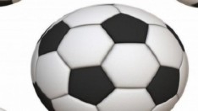 Lega Pro 2014: Coppa Italia.