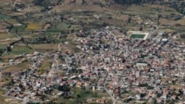 Irgoli. Giustizia per il cane ucciso.