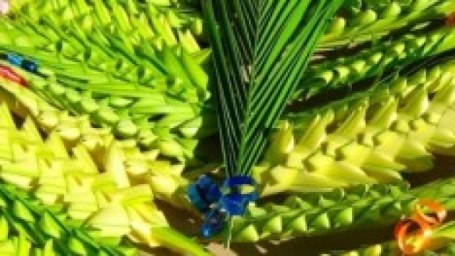 Frasi auguri palme domenica 13 aprile 2014