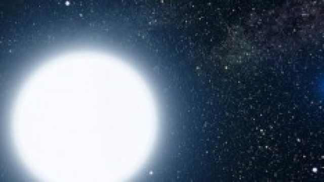 L'oroscopo settimanale di Paul