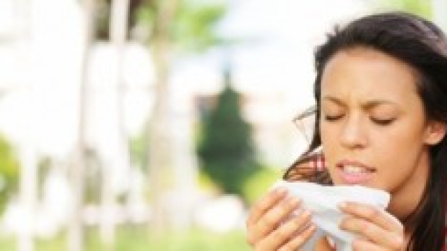 Rimedi naturali anti allergia primaverile