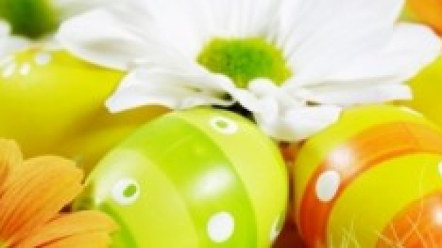 Auguri Pasqua frasi divertenti 20 aprile 2014