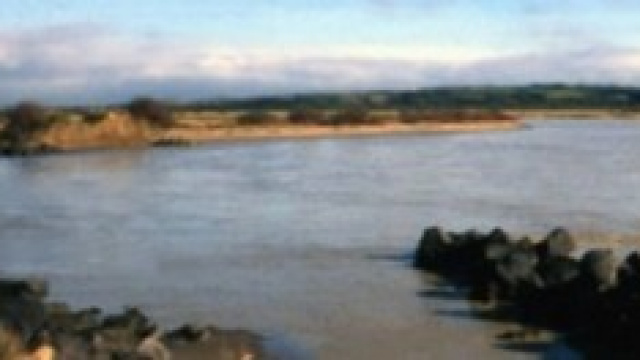 L'Oasi Naturalistica della Valle del Simeto
