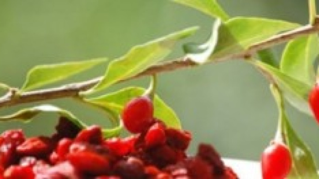 Ecco come si presentano le bacche di Goji