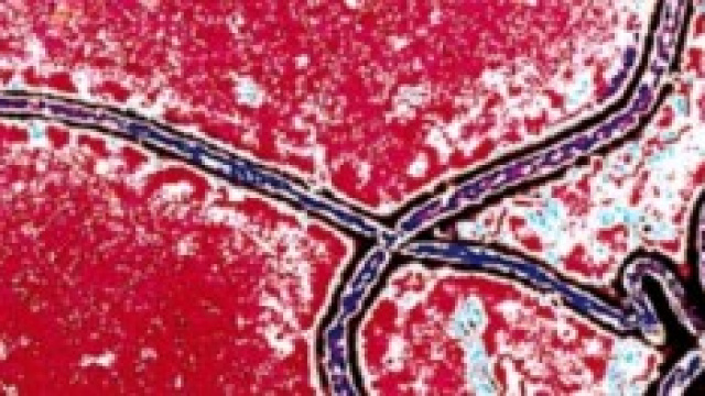 Virus Ebola: rischi anche per l'Italia?