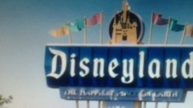 Donna prosperosa allontanata da Disneyland