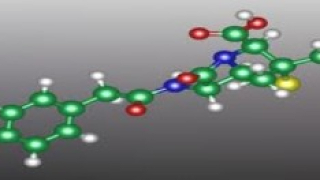 meningococco: infezione e profilassi