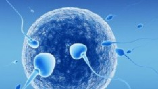 Proteine che ricoprono le cellule sessuali. 