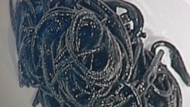 Spaghettoni al nero di seppia