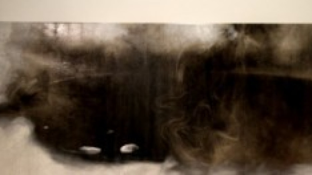  Omar Galliani in mostra alla GAM di Torino